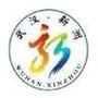 新洲发布ico