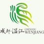 金温江ico
