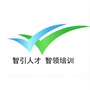 武进人才培训ico