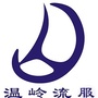 温岭流服ico