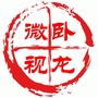 卧龙微视ico