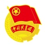 武陵青年ico