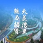 魅力招贤公众号ico