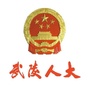 武陵人大ico