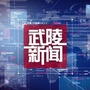 武陵融媒ico