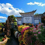 文明丽江ico