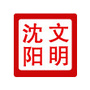 文明沈阳ico