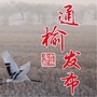 通榆发布ico