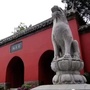 卧龙文艺ico