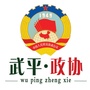 福建武平政协ico