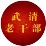 武清老干部ico