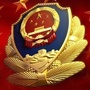 平安武清ico