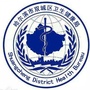 健康双城ico