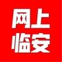 网上临安ico