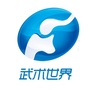 武术世界频道ico