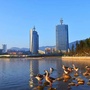 文化临翔公众号ico