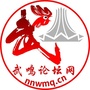 武鸣论坛网ico