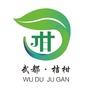 陇南武都桔柑镇ico