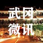 武冈微讯ico