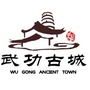 武功古城ico
