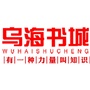 乌海书城ico