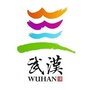 武汉热线公众号ico