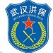 武汉洪保保安ico