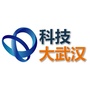科技大武汉ico