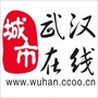武汉在线官网公众号ico