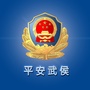 平安武侯ico
