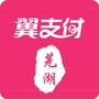 芜湖翼支付ico