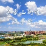 魅力吴家山ico