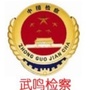 武鸣检察ico