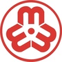 武清妇联ico