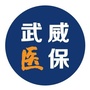 武威医保ico