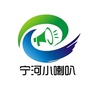 宁河小喇叭公众号ico