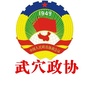 武穴政协ico