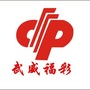 武威福彩ico