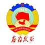 无为政协ico