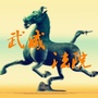 武威中院ico