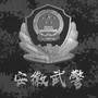 安徽武警公众号ico