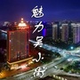 魅力吴小街ico