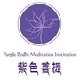 紫色菩提ico