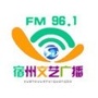 宿州文艺广播ico