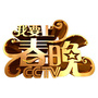 我要上春晚公众号ico