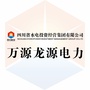 万源龙源电力ico