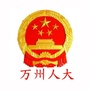 万州人大ico