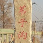 九台区苇子沟街道ico