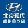梧州金欣北京现代4S店ico