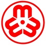温州龙湾妇联ico